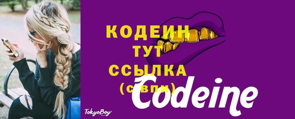 твердый Володарск